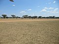 Kapoeta, South Sudan - panoramio (1).jpg