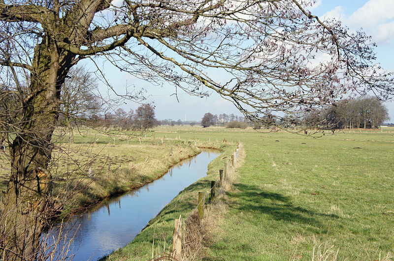 File:Kleine Delme bei Holzkamp.JPG