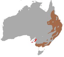 mapa da Austrália mostrando a distribuição do Koala