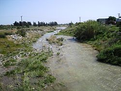 The Kouris river