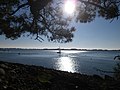 Pointe du Blair : côte ouest, paysage 2.