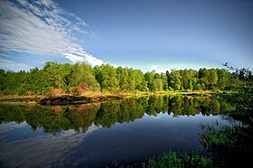 Râul Lama, regiunea Moscova, Rusia - 2.jpg