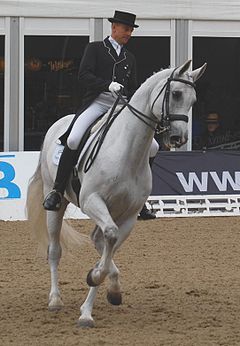 Lars Petersen mit Willano - Hamburg 2014.JPG