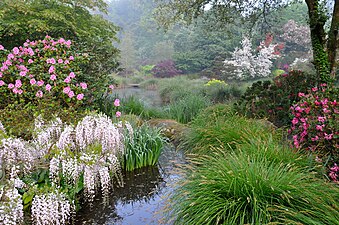 Le vallon des Poètes, Parc botanique de Haute-Bretagne.