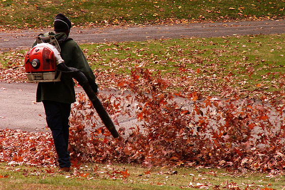 Groundskeeper blowing autumn leaves in the Homewood Cemetery, Pittsburgh