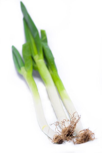 File:Leek picture.jpg