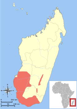 Área de distribución de Lemur catta.[2]