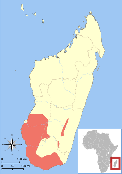 File:Lemur catta range map.svg