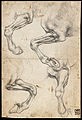 Leonardo da Vinci, Studi di gambe di cavallo, 1485/1495, gessetto nero su carta