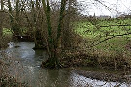 Baize nehri