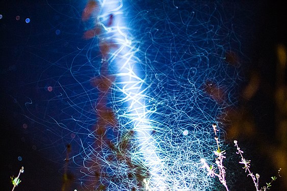 Light Painting created by insects moving under the torch light