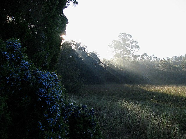 Little Talbot Island State Park - Wikipedia