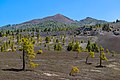 * Nomination View from the Llano del Jable to the Pico Birigoyo (1807 m), La Palma --Llez 05:14, 19 April 2019 (UTC) * Promotion  Support Good quality.--Famberhorst 05:33, 19 April 2019 (UTC)