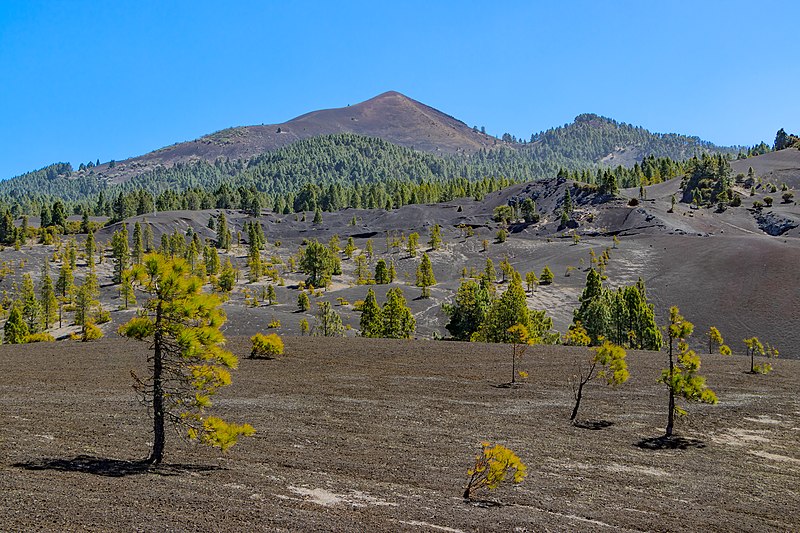 File:Llano del Jable - Pico Birigoyo - La Palma 01.jpg