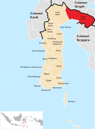 <span class="mw-page-title-main">East Luwu Regency</span> Regency in South Sulawesi, Indonesia