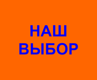 <span class="mw-page-title-main">Our Choice (Russia)</span> Political party in Russia