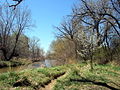 Looking west from inside Cherry Creek.jpg