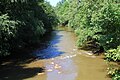 Mahanoy Creek in East Cameron Township, Northumberland County, Pennsylvania 2.JPG