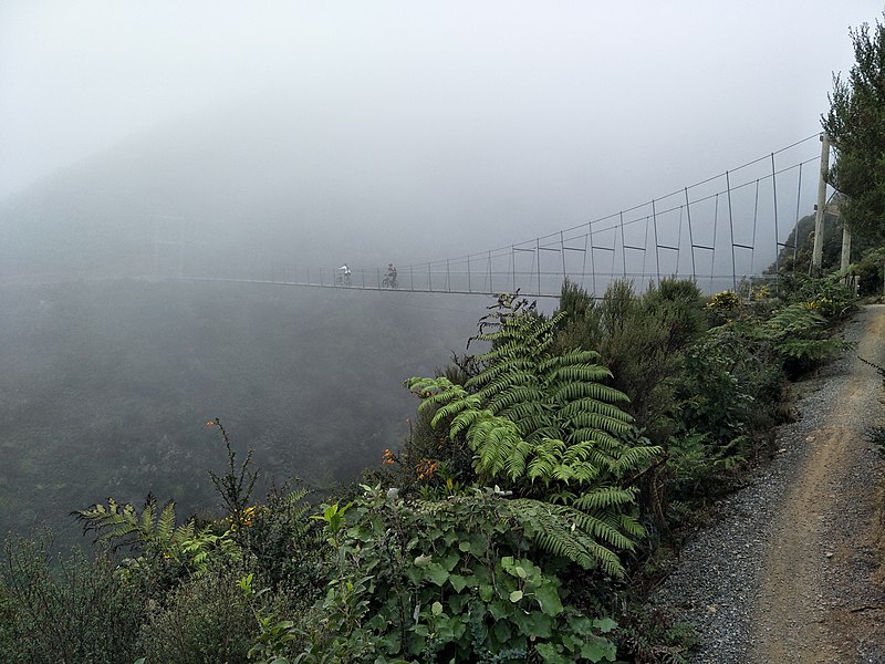 File:Makara Peak MTB Upswing Bridge.jpg