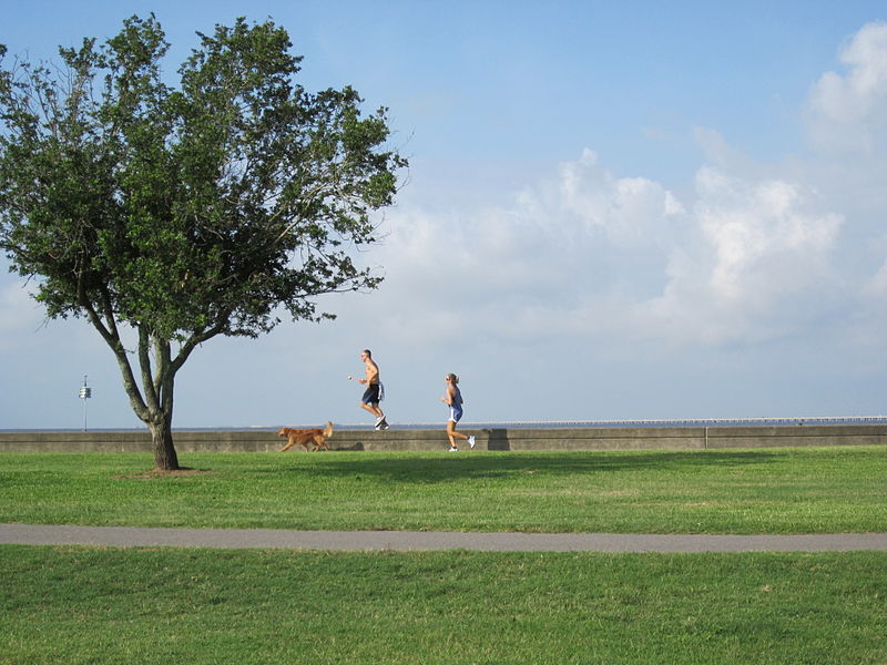 File:Mandeville Lakefront joggers.JPG