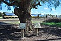 English: Plaques marking the site of the former railway station and bank at en:Mathoura, New South Wales