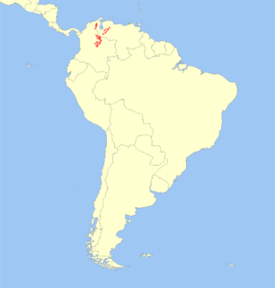 Mérida brocket species of mammal