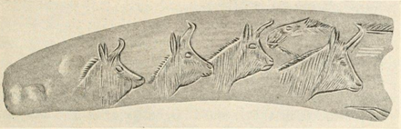 Chamois herd engraved on reindeer antler from Gourdan grotto, Haute Garonne.