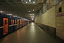 Metro SPB Line1 Devyatkino.jpg