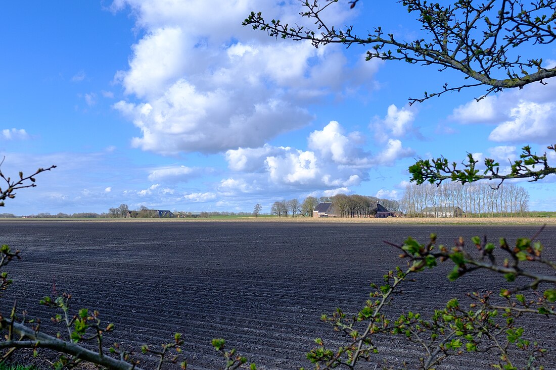 Midhuizen