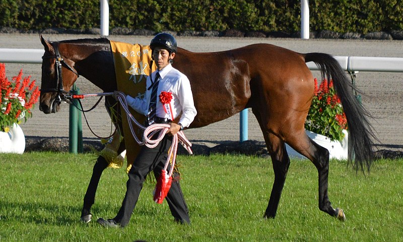 が大特価！ ジャンパー 【非売品】ミッキークイーン ブルゾン 競馬