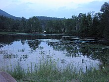 The Mill Pond Millpond.jpg