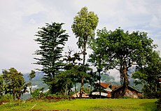 Mon-Nagaland-Jim-Ankan-Deka-photography.jpg