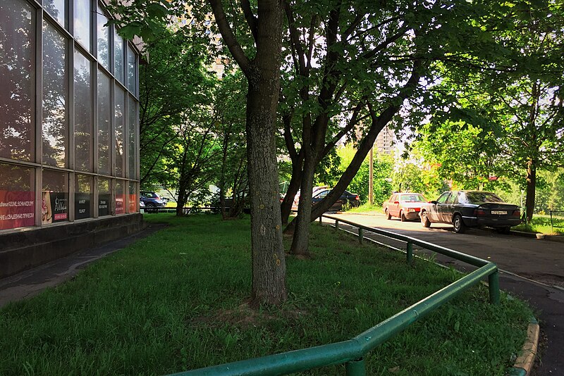 File:Moscow, North Chertanovo, trees around the experimental buildings (31341399071).jpg