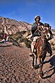 Mount Bromo Horse 1