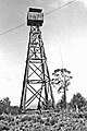 Mt Nowa Nowa fire tower was built in 1926/27 by the Forests Commission Victoria. It is believed that Bill Ah Chow helped with its construction. Photo Jim McKinty 1949.