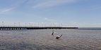 Muelle de Jurata, Península de Hel, Polonia, 2013-05-24, DD 13.jpg