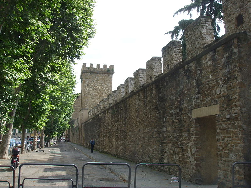 File:Mura zona san frediano.JPG