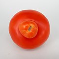 Mutant tomato 2017 B3.jpg
