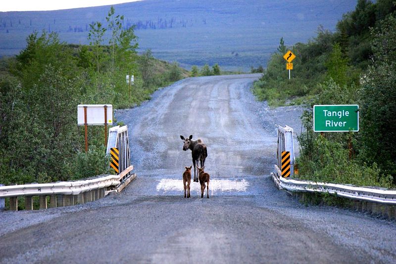 File:My Public Lands Roadtrip- Project Healing Waters Event in Alaska (19188940808).jpg