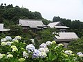 Thumbnail for Myōhōshō-ji