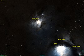 NGC 2071 DSS.jpg