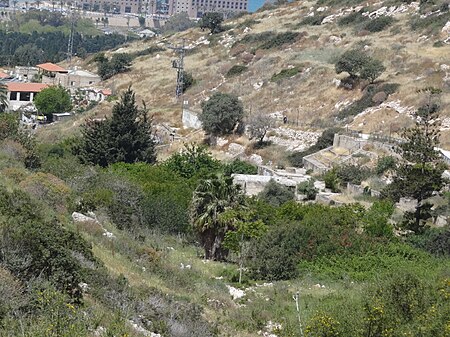 Nahal Siah - Chayat Garden (3).JPG