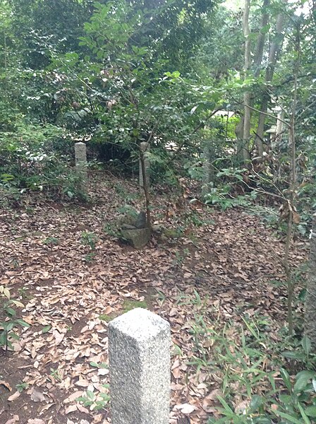 The Mount Yoshida grave site