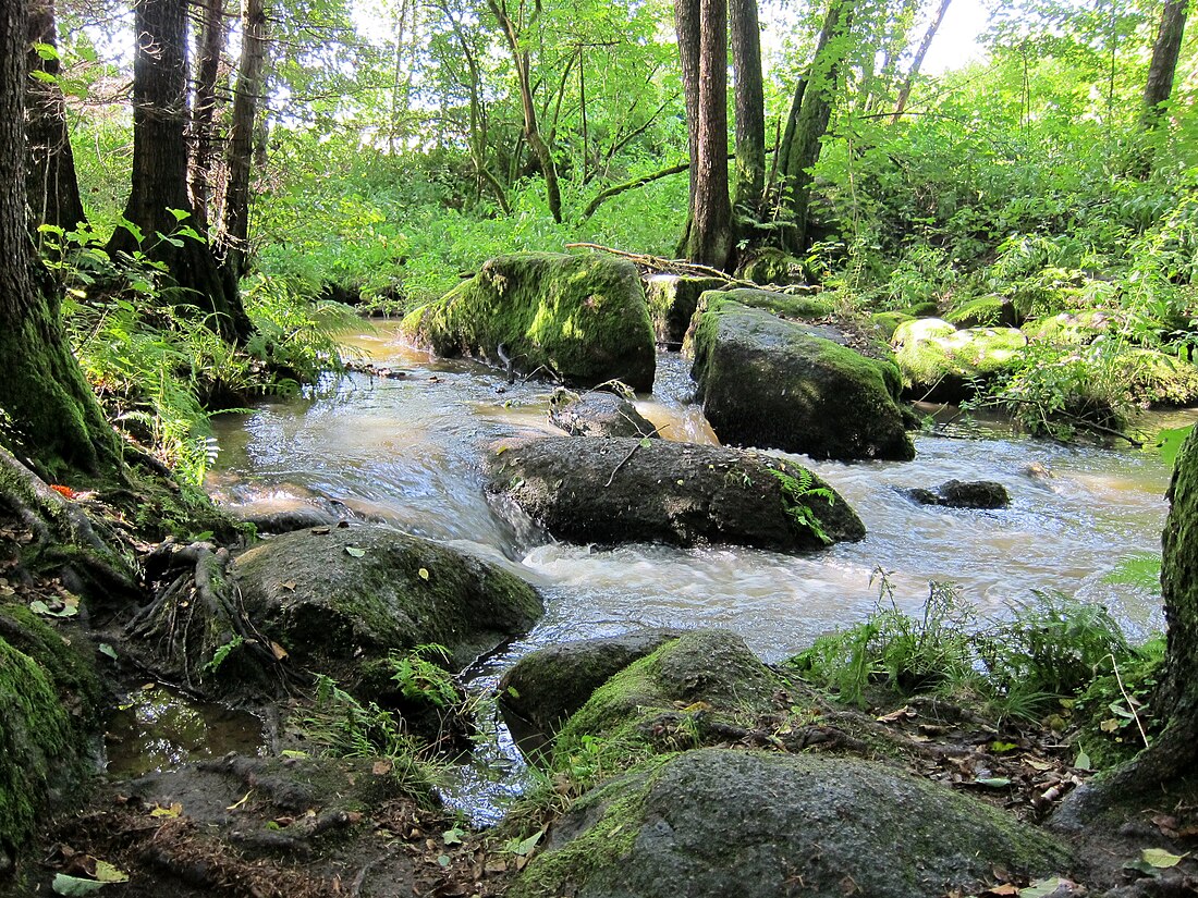 File:Naturschutzgebiet Hölle 02.jpg