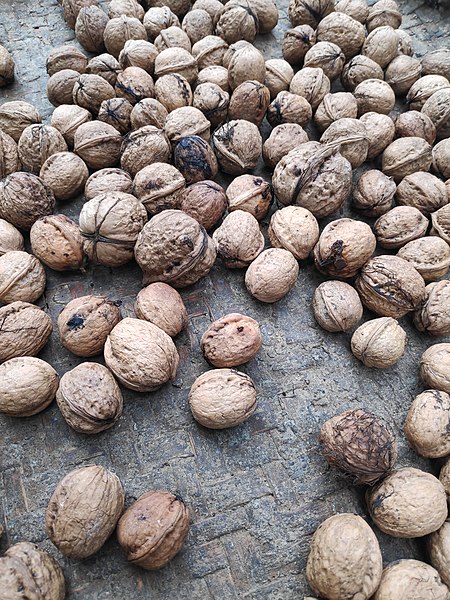 File:Nepali Walnuts.jpg