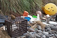Contamination du milieu marin par les plastiques