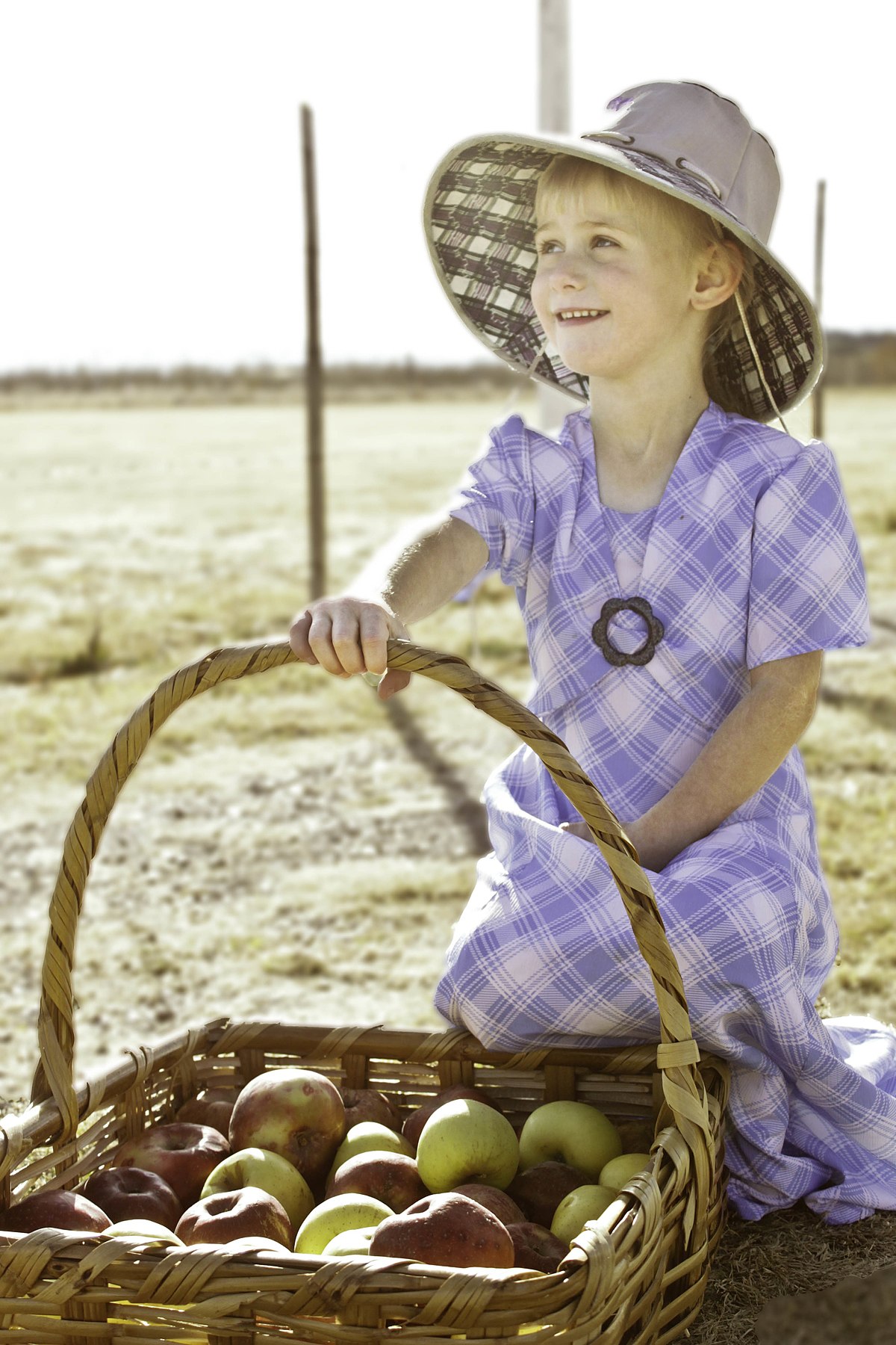 Picnic basket - Wikipedia