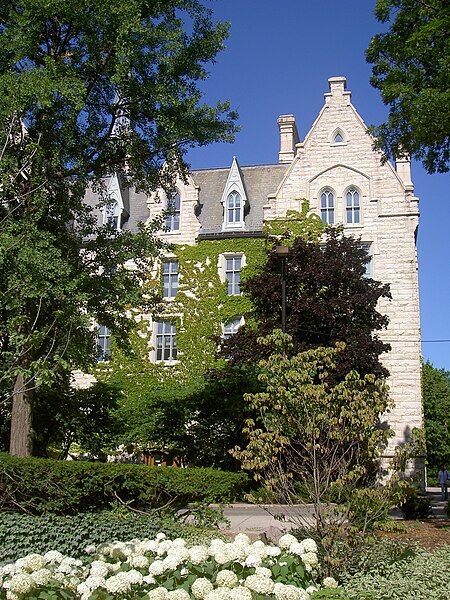 File:Northwestern University, ivy.JPG