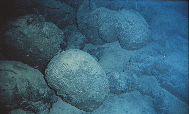 Pillow lava on the ocean floor of Hawaii