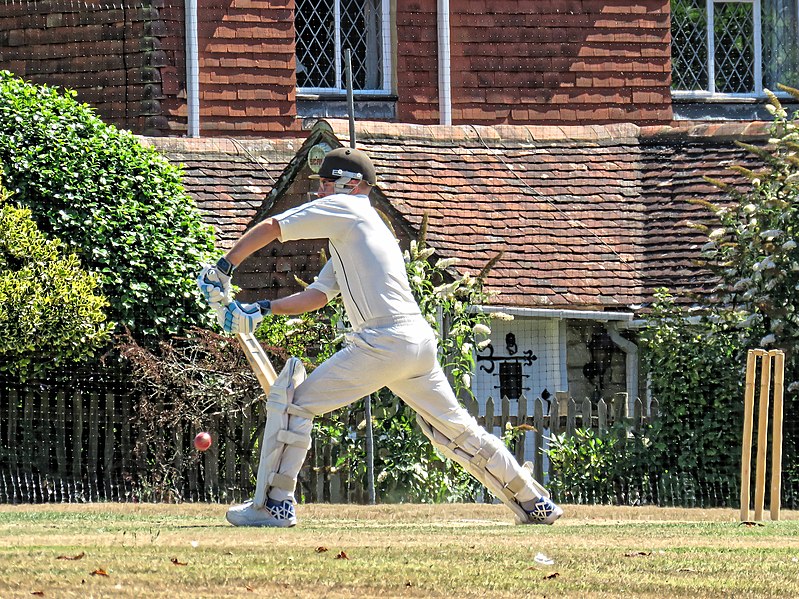 File:Nuthurst CC v. Henfield CC at Mannings Heath, West Sussex, England 001.jpg